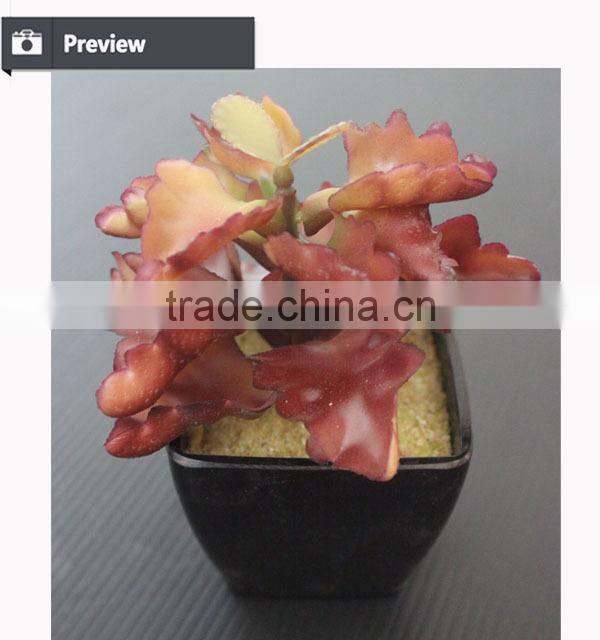 Cheap wholesale artificial succulent plants tropical plants