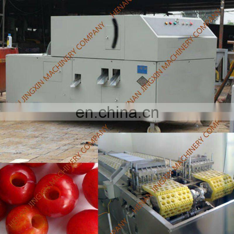 Factory supply Date palm jujube pitter zizyphus jujuba pitting machine dates processing machine