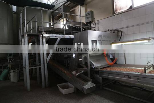 best selling products raw organic peanuts peanut kernels 24/28 peanut kernel price