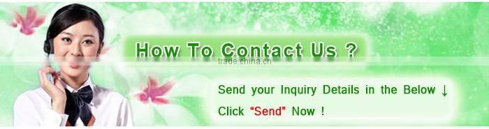 2016 Cheap TPU/PVC walk on water plastic ball,hamster ball for adults