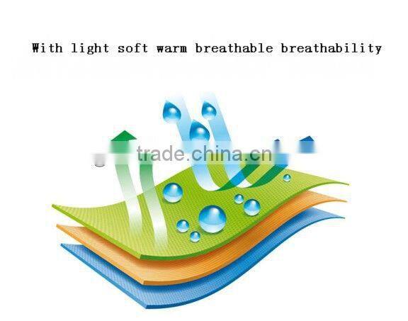 Palace Health Care Pillow