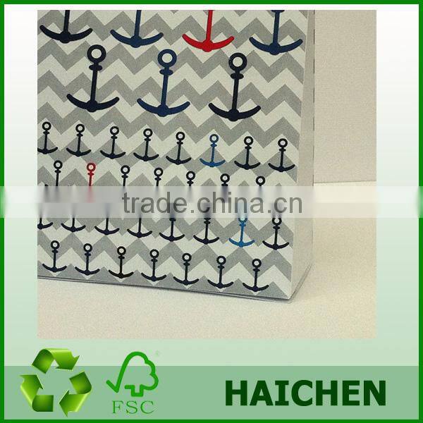 Pirate Chevron Gift Bag