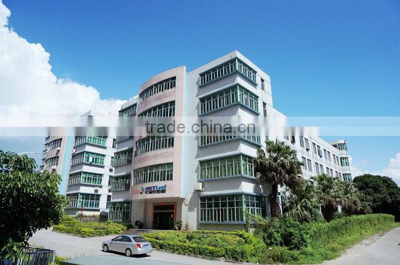 Holiday Decorative led neon flex price , Flex LED neon strip Light waterproof