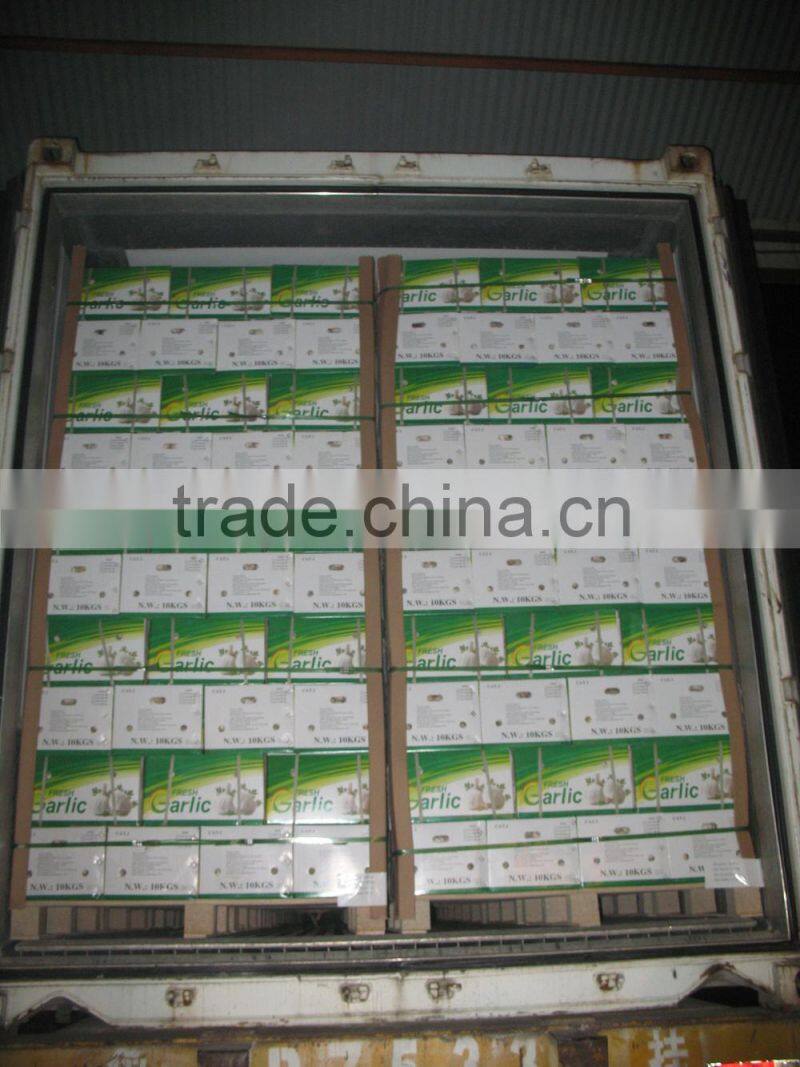 2015 No pollution and New harvested garlic