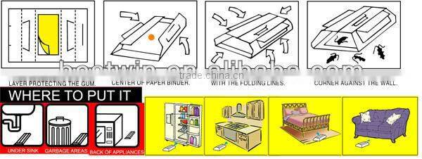 cockroach glue tunnel