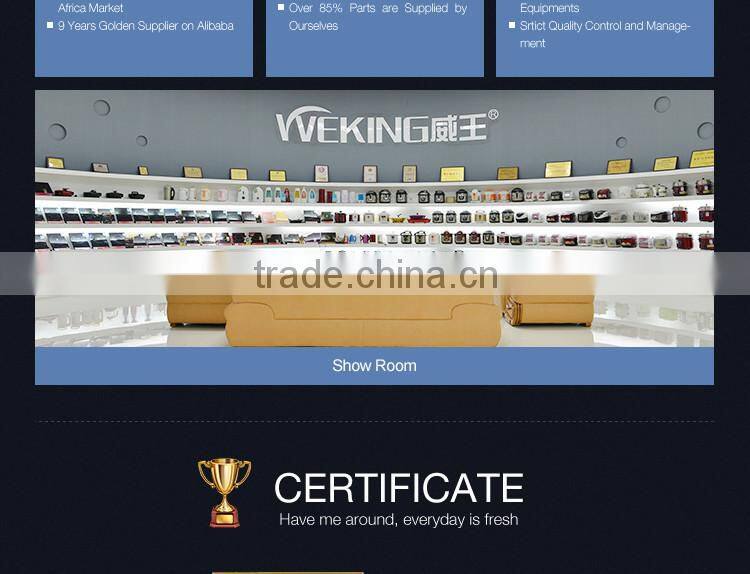 WK-6017 water electric kettle