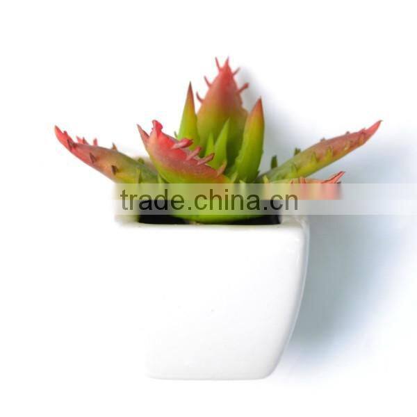 Modern Home Decor Mini Succulent Artificial Plants with Ceramic Pots