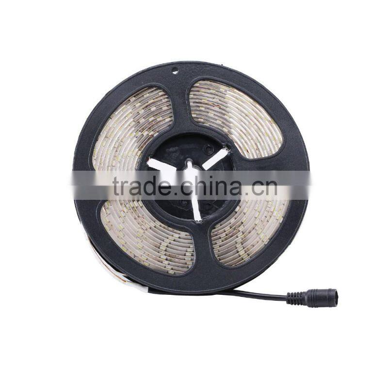 Copper 4.8W Strip Lamps
