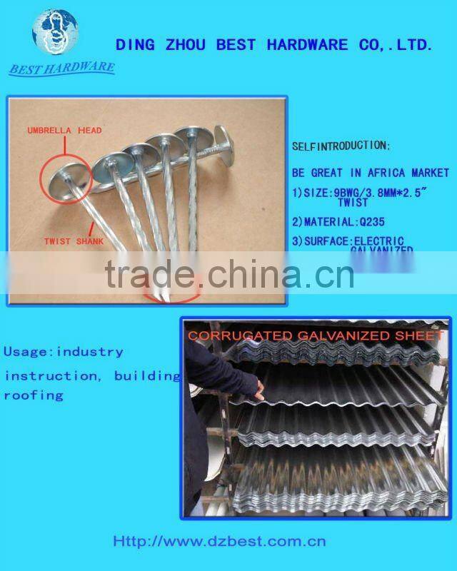 9gauge galvanized umbrella head ring shank roofing nail