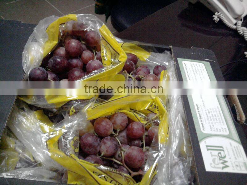 2014 crops fresh grapes