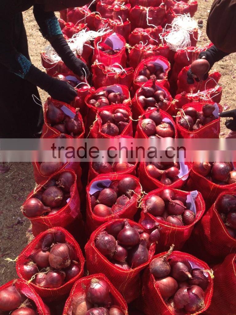 EGYPTION ONION farm fresh shallot onions   with great price promotion