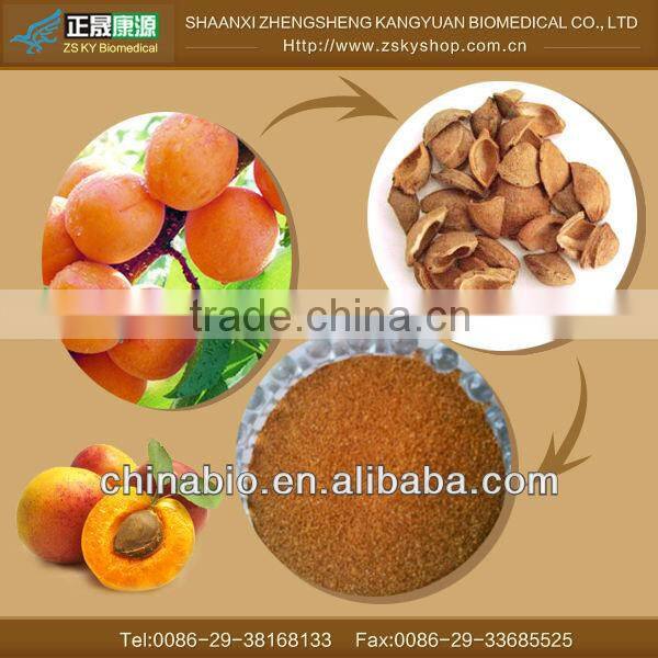 GMP Certified Factory Supply Apricot Shell Powder