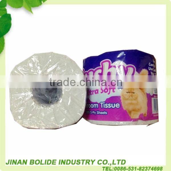 2ply toilet paper/toilet tissue
