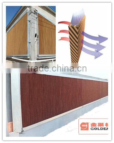 poultry automatic feeding and drinking system