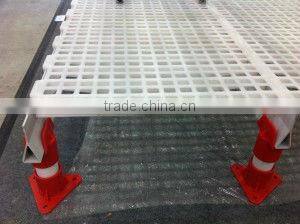 Plastic Chicken floor