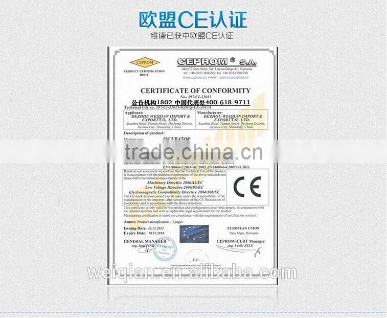WQ-12 Capacity 12 eggs incubator and hatcher from china