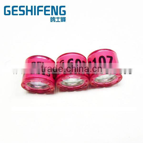 cheap price Laser printing Machine for Pigeon Rings ,pigeon ring making machine