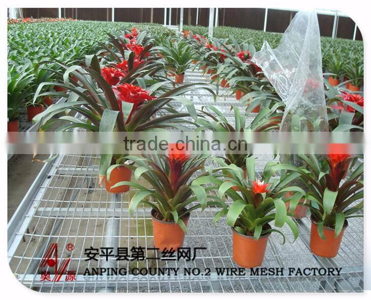 Low price 4x4 galvanized welded wire mesh/epoxy coated welded wire mesh