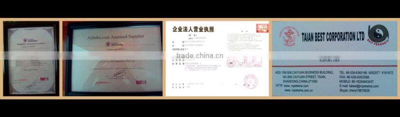 pe knotless fishing net