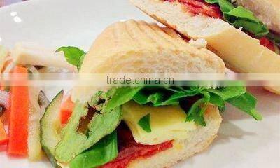 Electric contact grill / panini grill with CE certificate