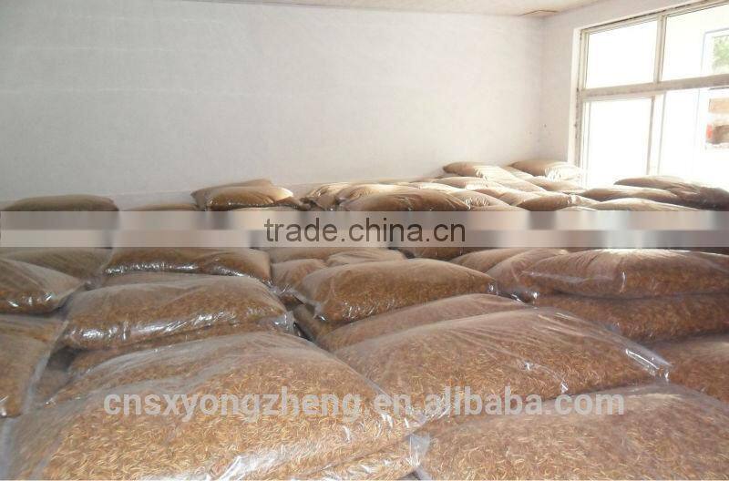 Dried Mealworms meet FDA Certification and ISO 9001