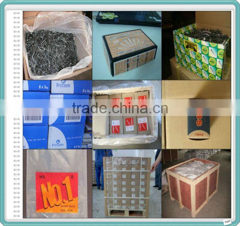 2.5" Polished Nail/Common Nail/Wire Nail