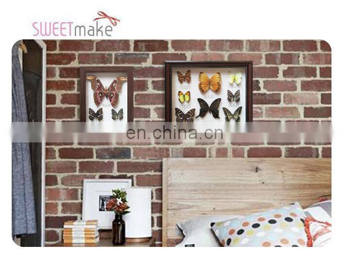 Dried real frame real butterfly