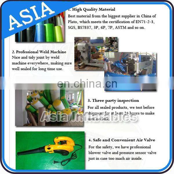 Custom Inflatable Water Air Bag For Sale ; Water Sport Equipment