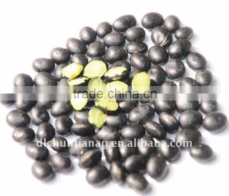 organic black beans with green kernel