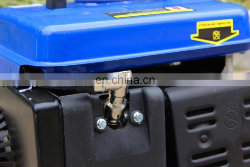 BISON(CHINA)BS950A 650w Gasoline Generator 950