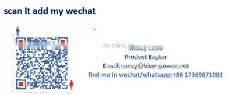 BS7500J(H) BISON China Taizhou Easy Move low noise powerful and durable 4 stroke engine 6KW generator portable