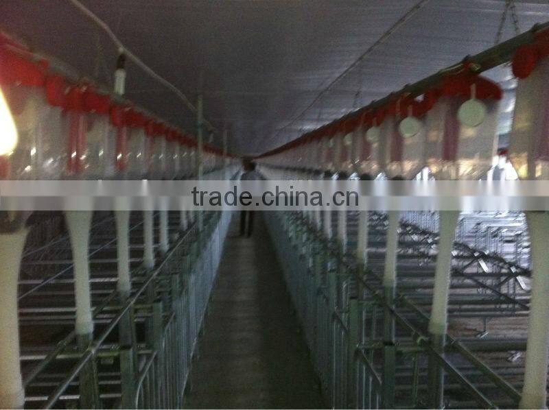 Drop Feeder for Pig Farm