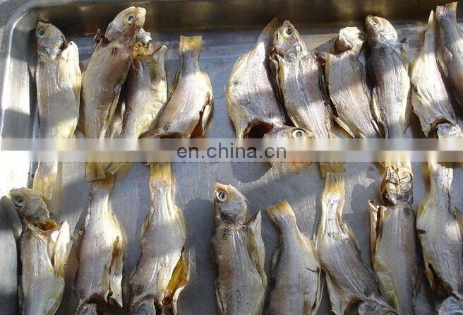 fish drying oven fish drying machine meat drying machine
