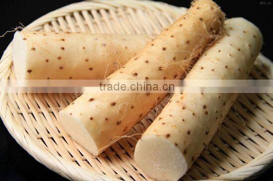Naturally-grown Wild Yam Iron polyphenol content 20%