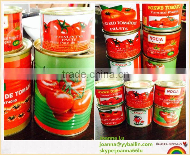Factory supply high concentrated 70g-3KG CANNED TOMATO PASTE