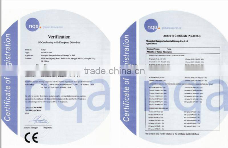 Electrical Single-suction Chemical Pump 1.6Mpa