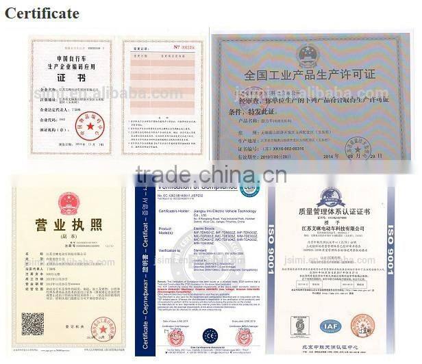 Electric Fat Tire Mountain Bicycles with LCD Display