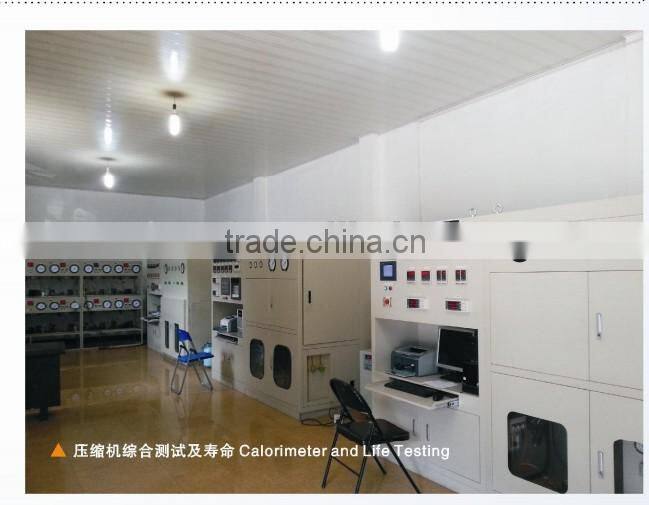 R600a series LBP domestic Refrigerator compressor