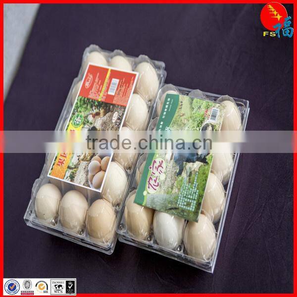 clear egg packing tray