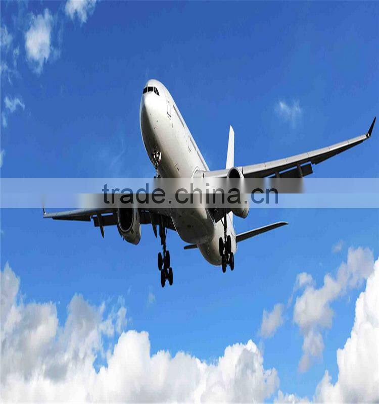 2016 fashion graceful white calla lily flower to express global