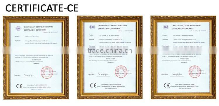 2 in 1 MMA/TIG inverter welding machine TIG-200P