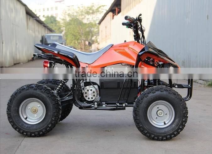 500W Hot Selling Dune Buggy Electric ATV