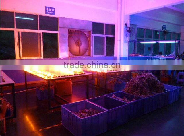 5050SMD cheap led strip light with aluminum profile indoor and outdoor using