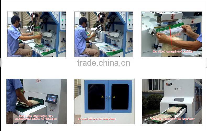 DZX-6 chamber vacuum sealer