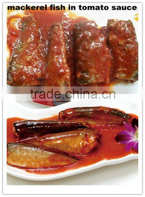 Canned Mackerel Fish in Tomato Sauce