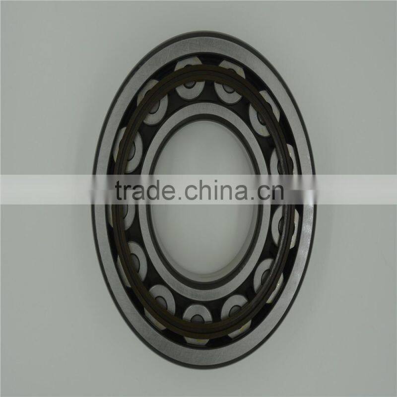 17 years experience manufacturer, All Kinds of Cylindrical roller bearing 248/900 CAMA/W20