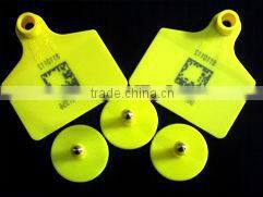 Equipments producing Portable laser marking machine hunst for animal ear tag