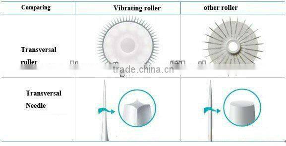 Cheapest!! microneedle roller system derma roller titanium L007