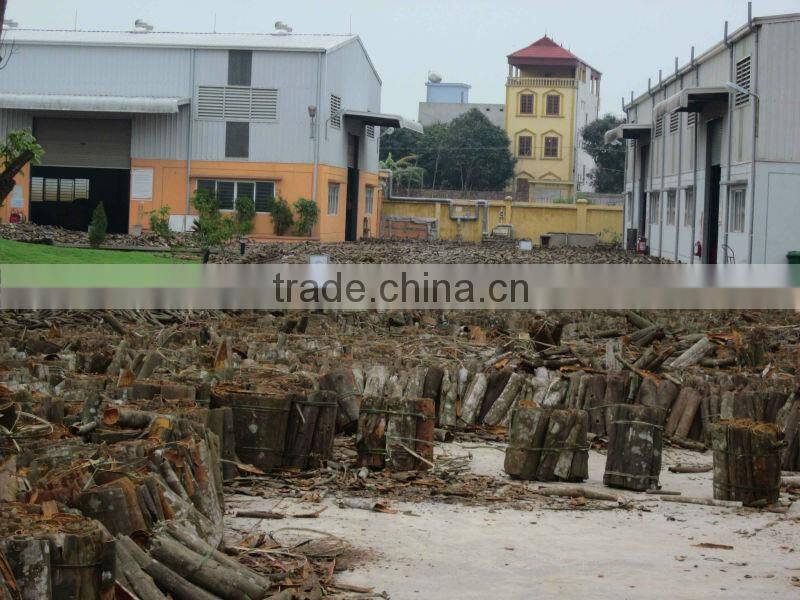 Splits CINNAMON/CASSIA good price skype: visimex03