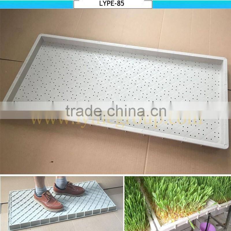 Large shallow tray for sale plastic plant seed tray
